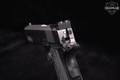 Dan Wesson Silverback 10mm Two-Tone in Good Condition Image 5
