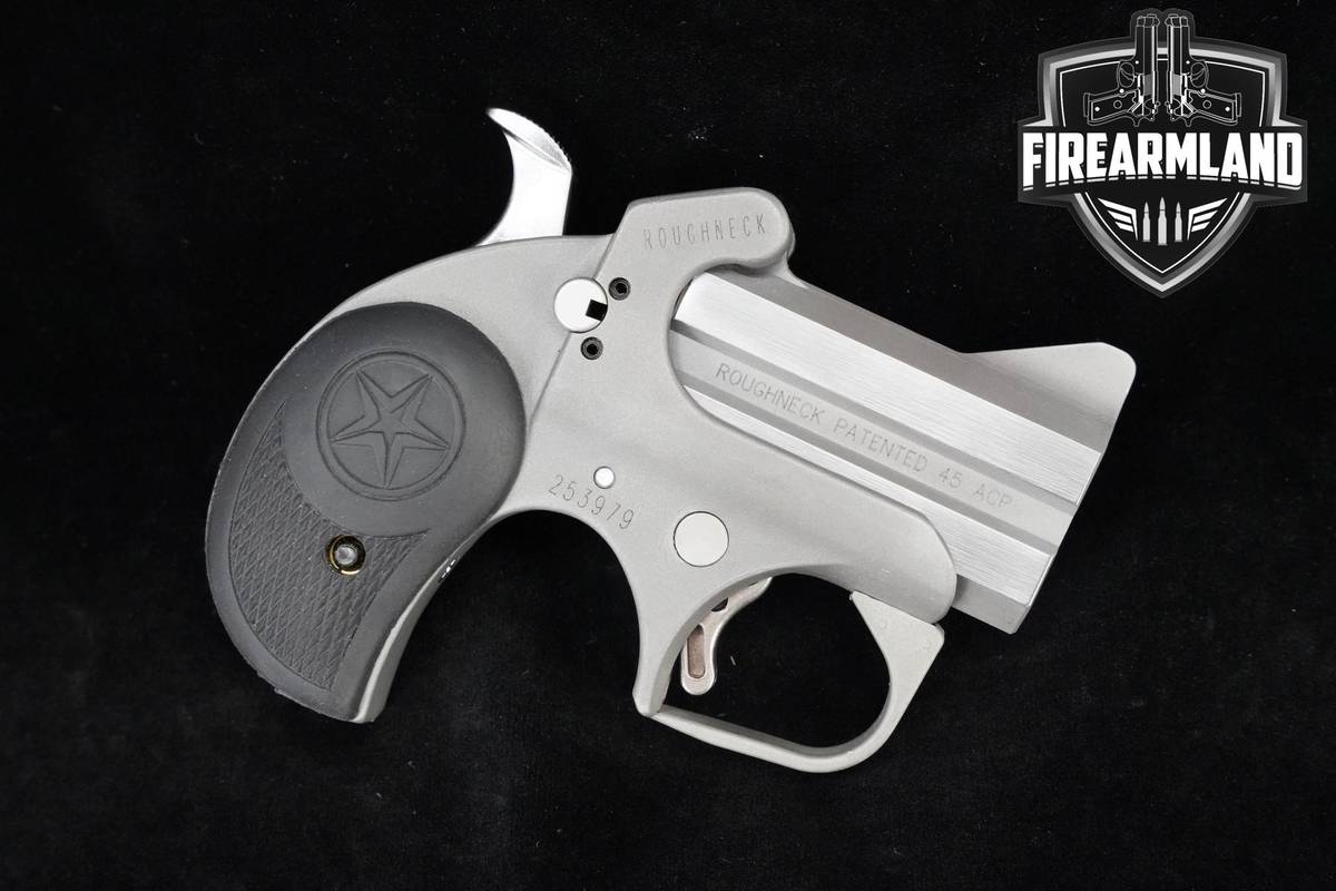 Bond Arms Roughneck 45 ACP 2.5" Stainless Bond-Arms Roughneck 45Auto