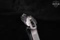 Beretta 3032 Tomcat Inox .32 ACP Two-Tone Stainless & Grey in Excellent Condition Image 5