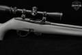 Remington Model 597 Synthetic .22 LR Blued & Gray Synthetic in Excellent Condition Image 5