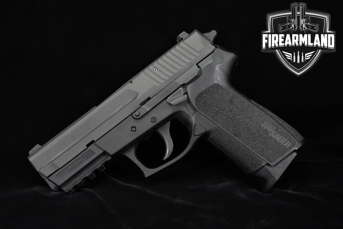 Sig Sauer SP2022 9mm 3.9" SP 2022 +2 MAGS & HOLSTER
