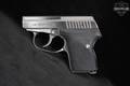 L.W. Seecamp (LW Seecamp) LWS-32 .32 ACP Stainless in Very Good Condition Image 3