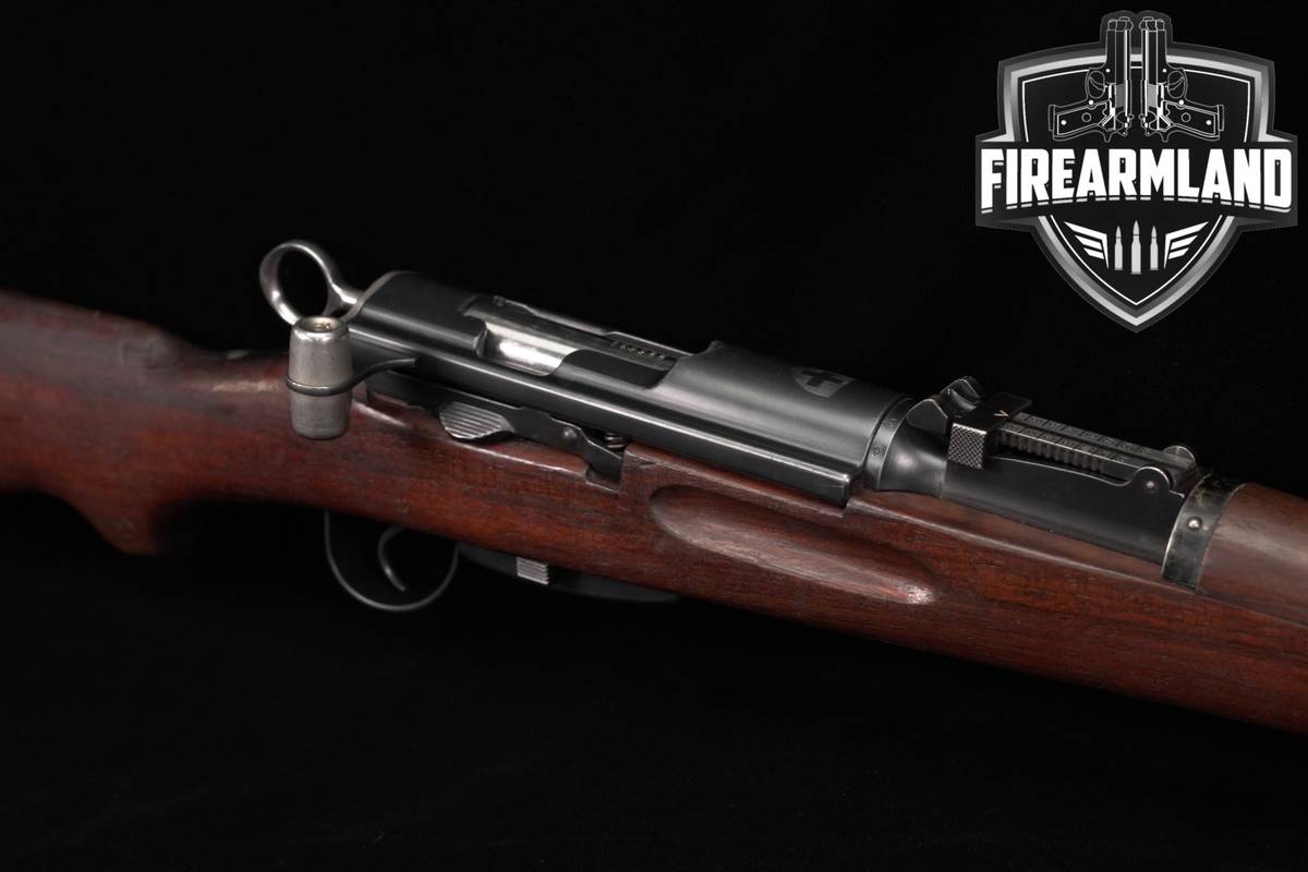 ALL MATCHING Waffenfabrik Bern W+F Karabiner Modell 1931 Privatization