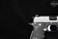 Kimber Micro 9 ESV 9mm Luger Two-Tone in Excellent Condition Image 5