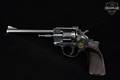Arminus HW7S .22 LR Blued in Good Condition Image 3