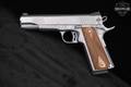 Rock Island Armory (RIA) 1911 FS EFS Stainless .45 ACP Satin Stainless in Very Good Condition Image 3