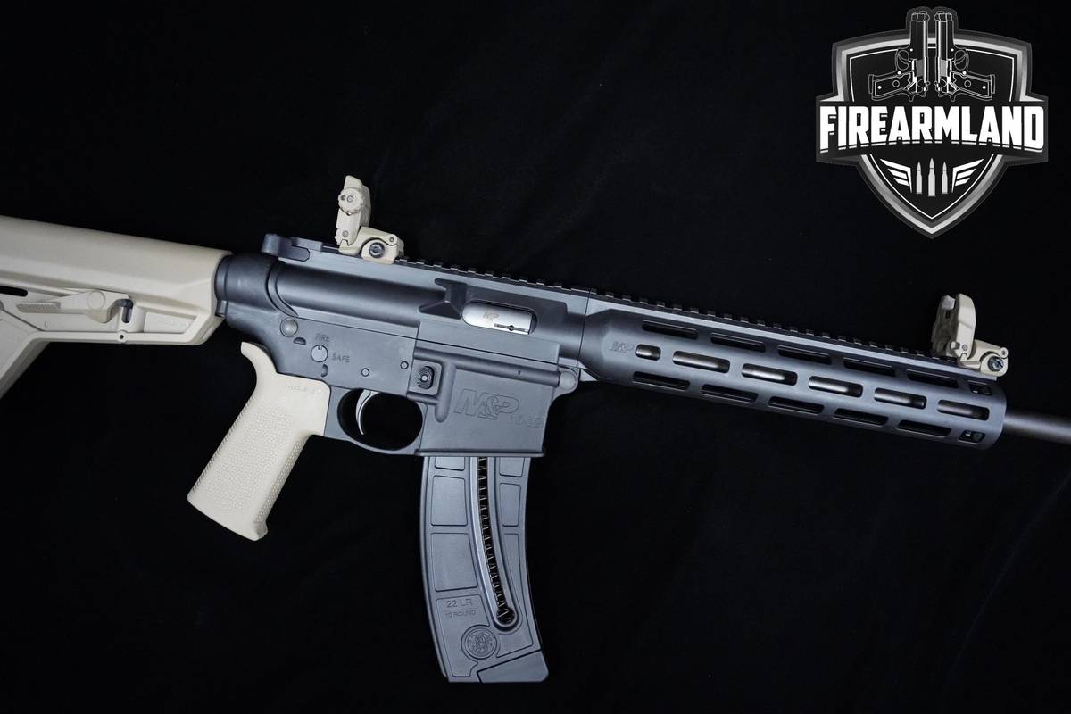 Smith & Wesson (S&W) M&P15-22 Sport MOE SL FDE 22LR S&W-M&P15-22 +ORIG CASE