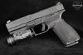 Springfield Armory ECHELON 9mm Luger (9x19 Para) Black in Very Good Condition Image 2