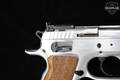2016 EAA Corp Tanfoglio Witness Stock II 9mm Luger Stainless Steel in Excellent Condition Image 5