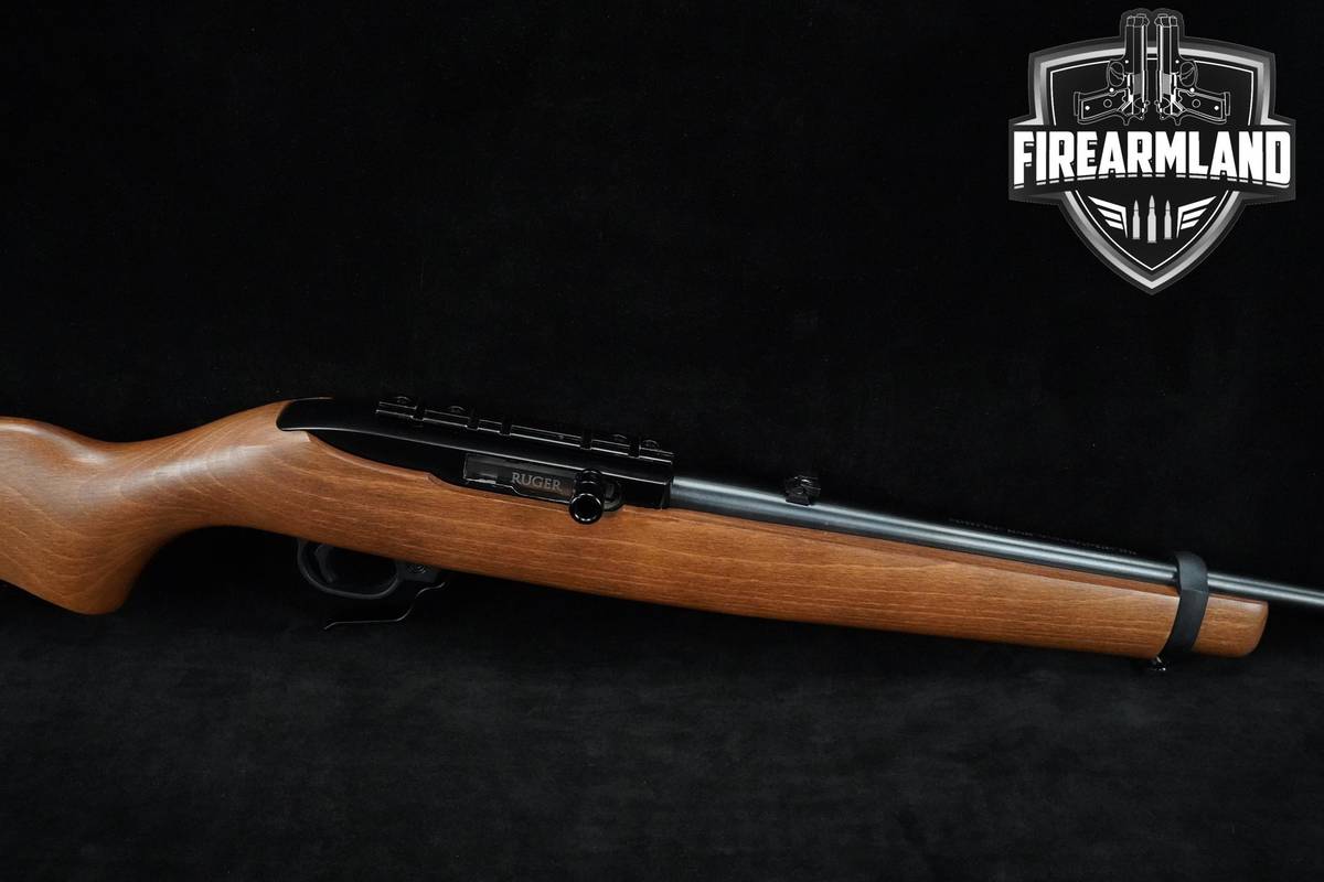 Ruger 10/22 Carbine 22LR 18.5" Blued & Hardwood +3 MAGS
