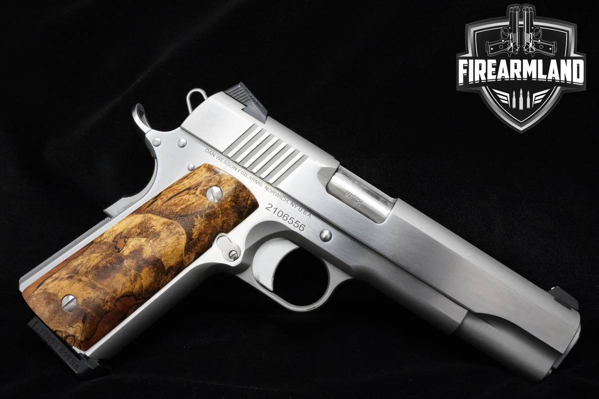 Dan Wesson Razorback 10mm 5" Dan-Wesson Razorback RZ-10 +2 MAGS & CASE 1911