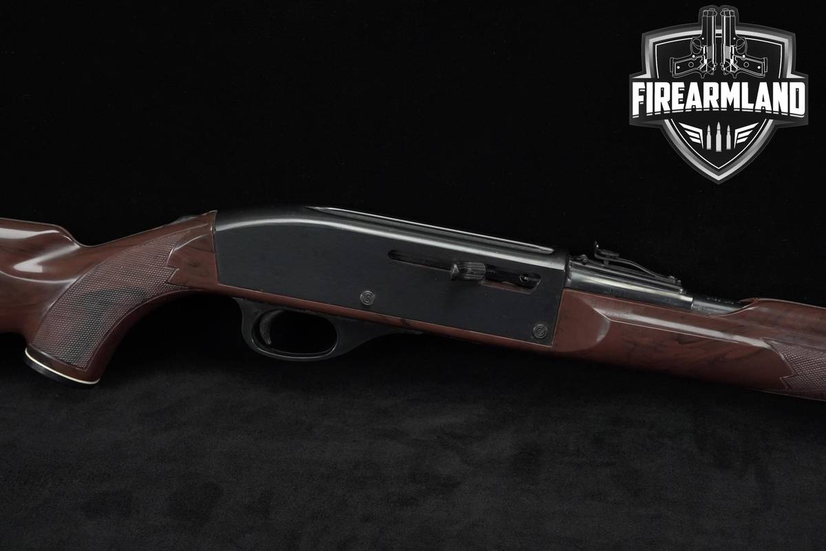 VINTAGE Remington Nylon 66 Mohawk Brown 22LR 19.5 +ORIG BOX