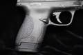 Smith & Wesson (S&W) M&P 9 Shield Performance Center 9mm Luger Armornite in Excellent Condition Image 5