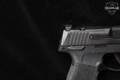 Sig Sauer P365 9mm Luger Black in Very Good Condition Image 5