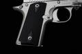 Kimber Micro Carry STS .380 ACP Satin Silver in Excellent Condition Image 3
