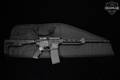 Smith & Wesson (S&W) M&P-15 Sport II 5.56mm NATO Armornite in Very Good Condition Image 2