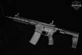 Wilson Combat (WC) Protector Pistol 5.56mm NATO Black in Like-New Condition Image 2