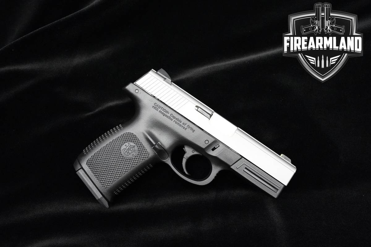 Smith & Wesson (S&W) SW9VE 9mm 4" Two-Tone Pistol 2 MAGS