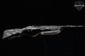 1992-96 Mossberg Model 9200 OFM 12 Gauge OFM Marsh Camo in Good Condition Image 3