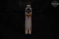 Walther P22 Military .22 LR Two-Tone in Very Good Condition Image 4