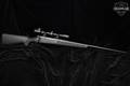 Winchester Repeating Arms Model 70 .30-06 Blued in Excellent Condition Image 2