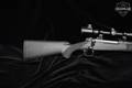 Winchester Repeating Arms Model 70 .30-06 Blued in Excellent Condition Image 4