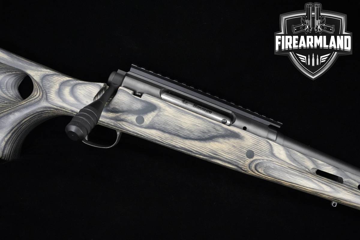 Savage Arms Axis 25-06 Rem 22" Savage Axis BOYD'S STOCK +3 MAGS