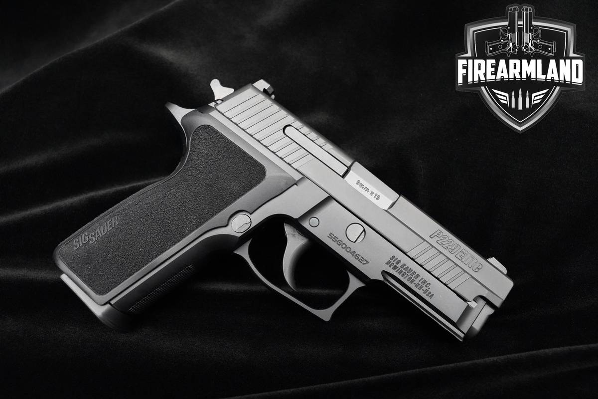 Sig Sauer P229 Elite Compact 9mm 3.9" Nitron Pistol 2MAGS & HOLSTER