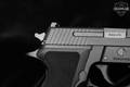 Jul 2022 Sig Sauer P229 Elite Compact 9mm Luger Nitron in Excellent Condition Image 3