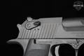 Magnum Research Desert Eagle MK XIX .50 AE Black in Excellent Condition Image 2