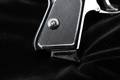 Walther PPK Stainless .380 ACP Stainless Steel in Excellent Condition Image 3