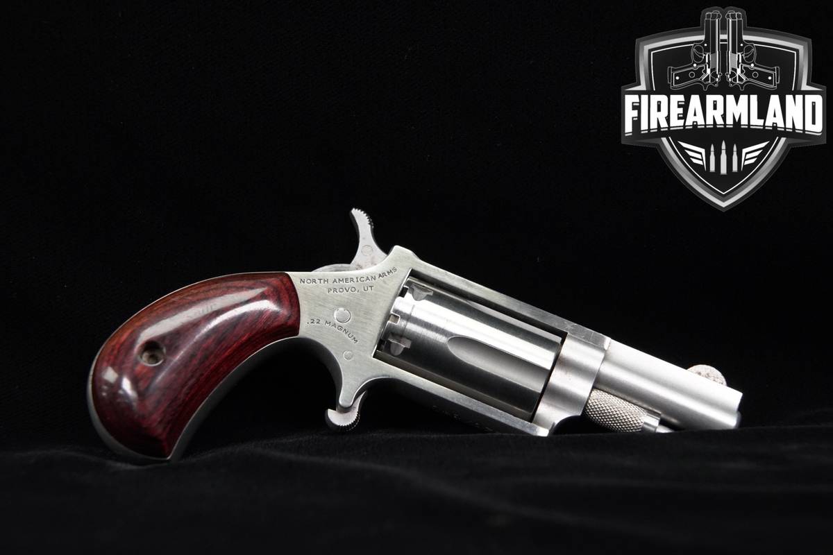 POCKET-CARRY North American Arms NAA-22M 22WMR 1 5/8" Stainless 22-Magnum