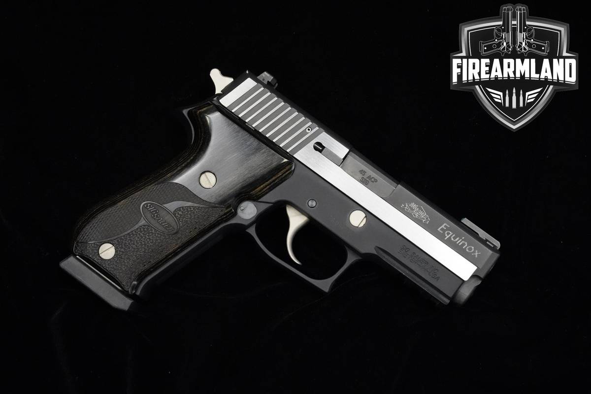 Sig Sauer P220 Equinox 45 ACP 4" Nitron Stainless Sig-Sauer P220 P-220 MAGS
