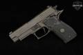 Sig Sauer P226 Legion SAO 9mm Luger Gray in Very Good Condition Image 4