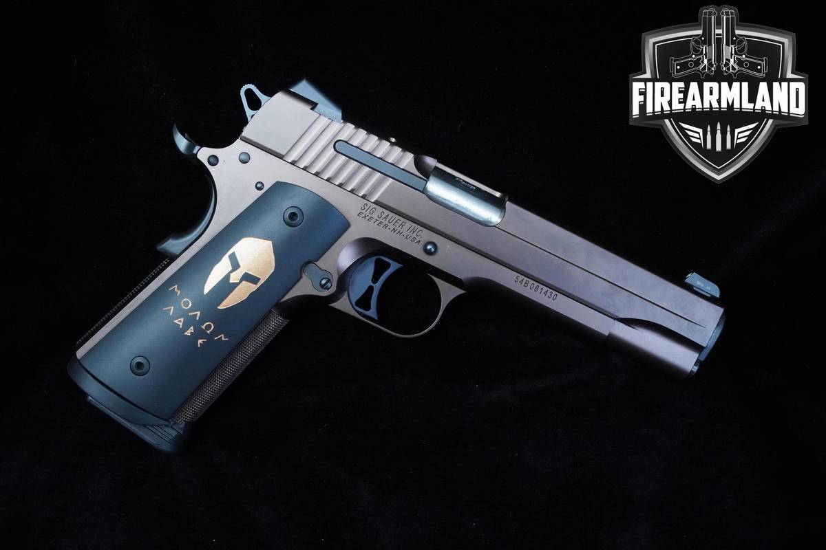 Sig Sauer 1911 Spartan 45 ACP 5" Sig-Sauer 1911-Spartan 1911 ORIG CASE