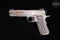 Kimber 1911 Rapide Dawn 10mm Stainless in Good Condition Image 5