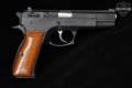 Tanfoglio TA 90 .40 S&W Black in Very Good Condition Image 5