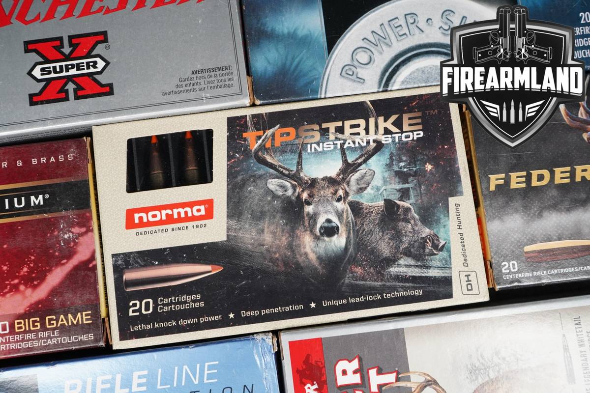 200 RDS! 30-06 Ammo 3006 Ammunition