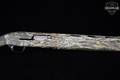 Browning Maxus 12 Gauge Realtree Max 7 in Excellent Condition Image 5