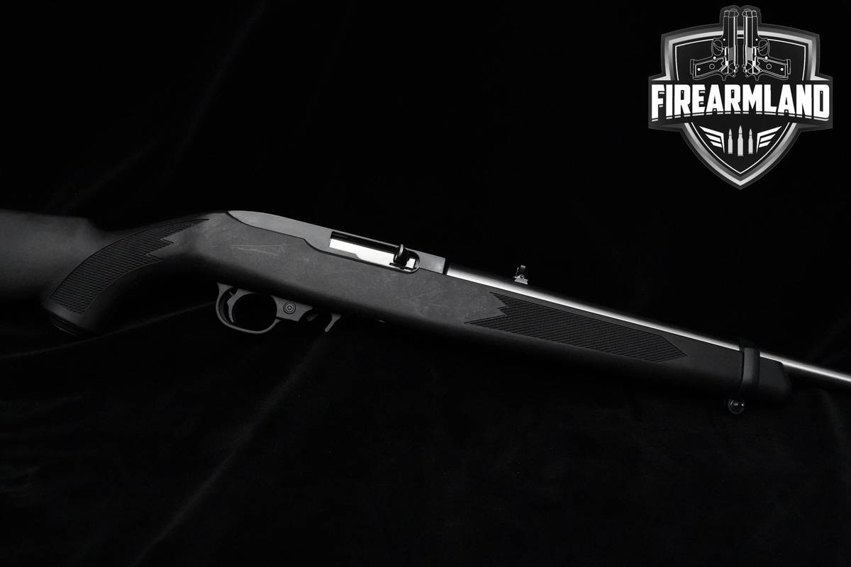 Ruger Model 10/22 22LR 18.5" Two-Tone Ruger 10/22 10-22 +2 MAGS