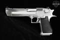 Israeli Military Industries (IMI) Desert Eagle Mark XIX .44 Mag. Stainless in Excellent Condition Image 3