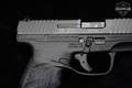 2020 Walther PPS M2 LE EDITION 9mm Luger Tenifer in Excellent Condition Image 4
