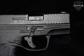 2020 Walther PPS M2 LE EDITION 9mm Luger Tenifer in Excellent Condition Image 5