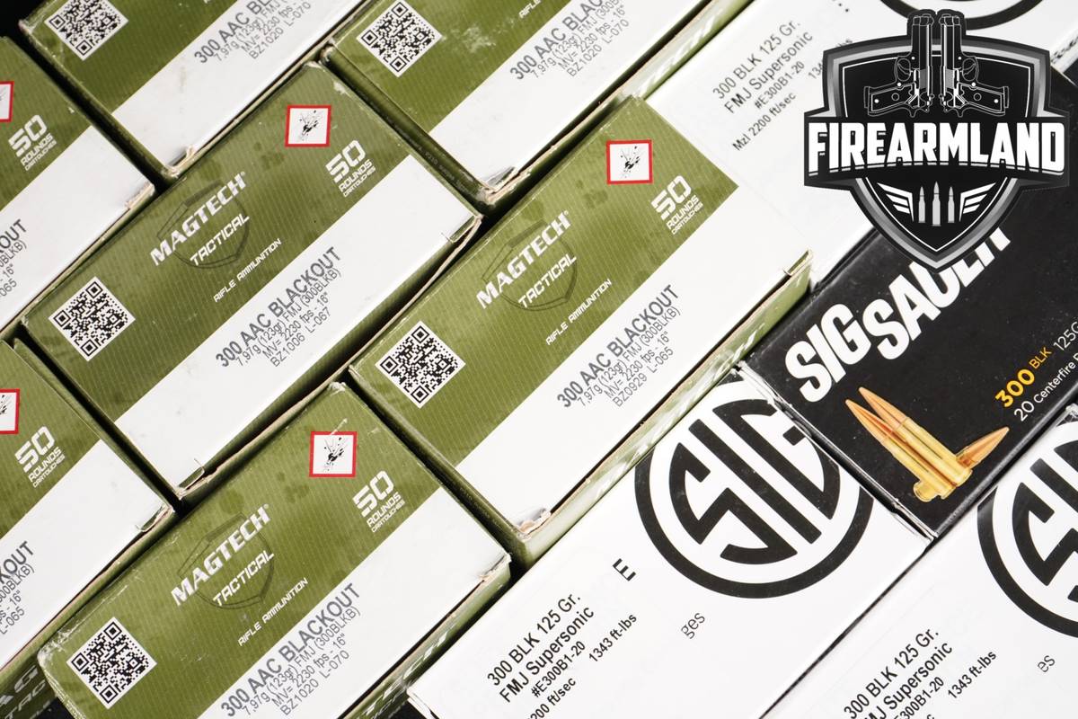 500 RDS! 300 Blackout Ammo BLK-AAC Ammunition