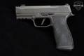 Sig Sauer P365 AXG Legion 9mm Luger Legion Gray in Very Good Condition Image 3