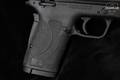 Smith & Wesson (S&W) M&P380 Shield EZ M2.0 .380 ACP Armornite in Excellent Condition Image 3
