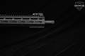 Derya Arms TM22 Flash .22 LR Black in Excellent Condition Image 5