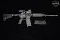 Bushmaster XM15-E2S 5.56mm NATO Black in Excellent Condition Image 2