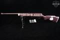 Marlin Firearms Co. Glenfield Model 25 Texas A&M Custom .22 S/L/LR Custom Paint in Good Condition Image 2