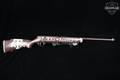 Marlin Firearms Co. Glenfield Model 25 Texas A&M Custom .22 S/L/LR Custom Paint in Good Condition Image 3